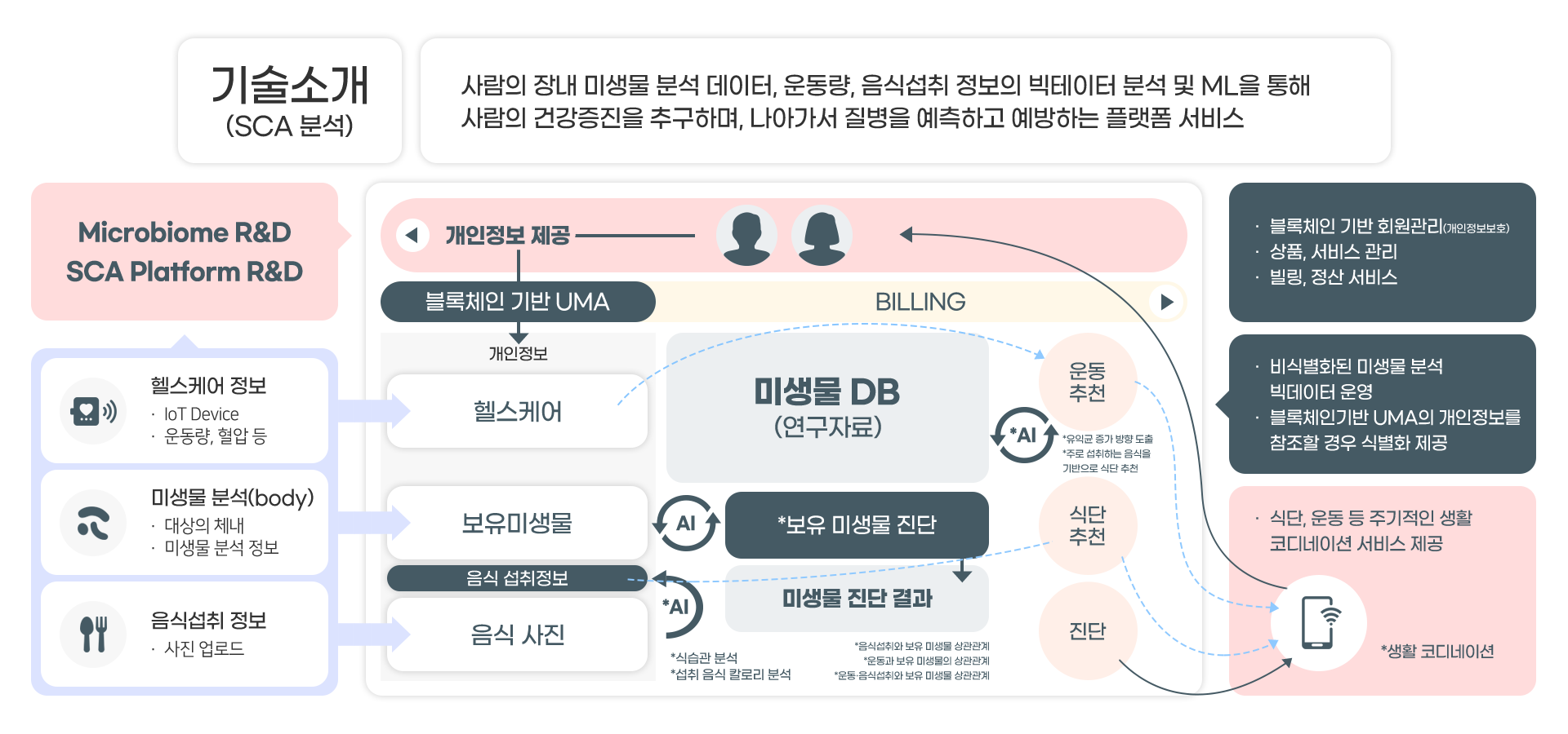 sca분석설명