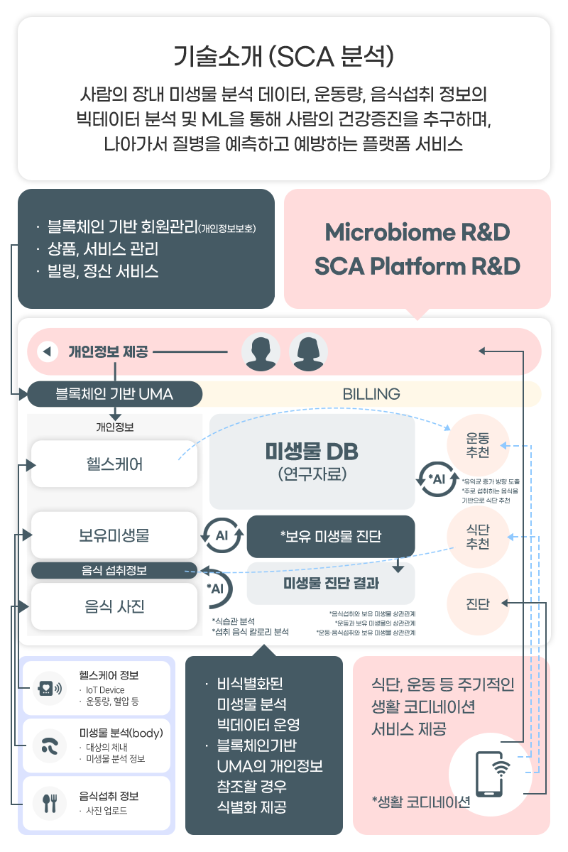 sca분석설명